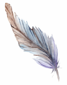 upscaled_feather_image